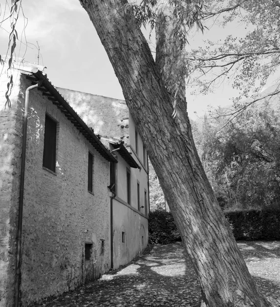 Fonti Del Clitunno Vegetazione Umbria — Foto Stock