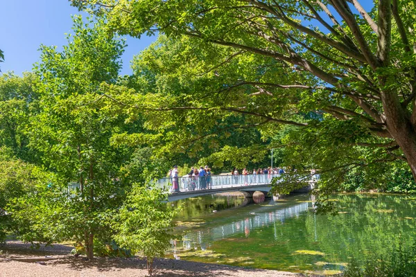 Londres Junho 2015 Belas Árvores Paisagem Hyde Park Com Turistas — Fotografia de Stock