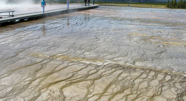 Smoky Geyser Yellowstone National Park — Stock Photo, Image