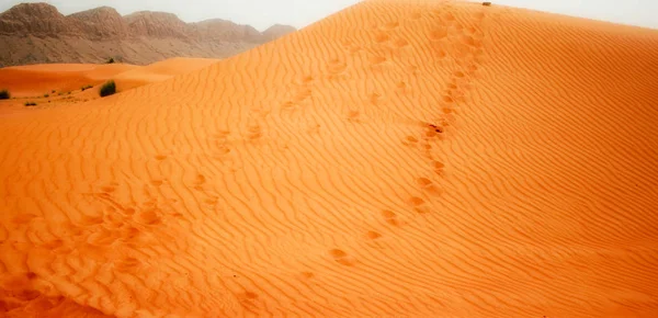 Detail Der Wüste Bahrain Naher Osten — Stockfoto