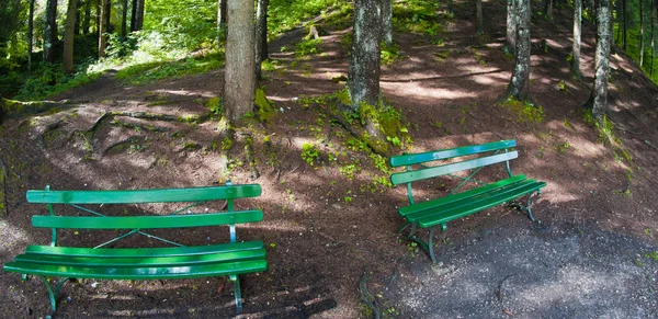 Bench inside the Woods, Dolomites Mountains