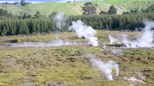 Parque Nacional Wai Tapu Rotorua Nueva Zelanda — Vídeo de stock