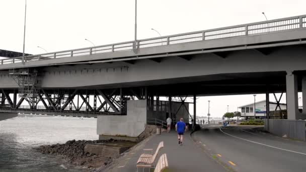 新西兰奥克兰 2018年8月 海港桥下的人和游客 奥克兰每年吸引300万游客 — 图库视频影像