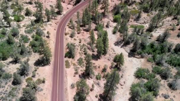 Zion National Park Estrada Verão Vista Aérea Revelando Montanhas — Vídeo de Stock