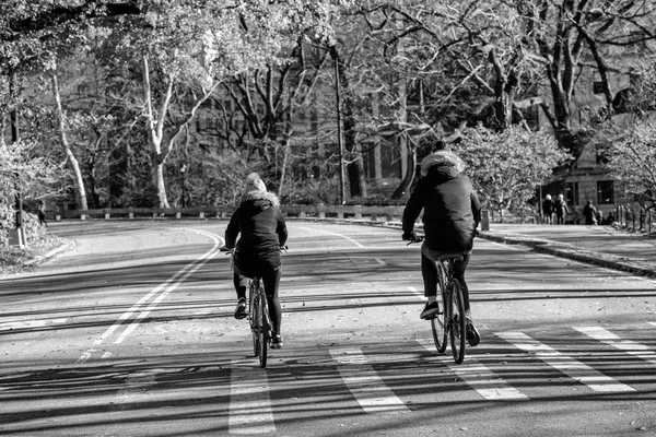 Biking in Central Park during winter season, New York City.