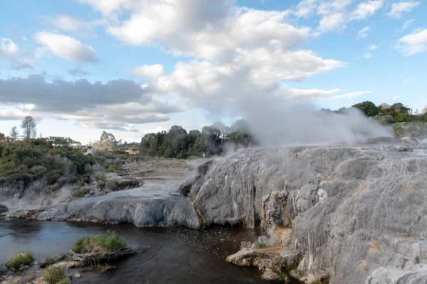 Puia Park Rotorua Alacakaranlıkta Yeni Zelanda — Stok fotoğraf