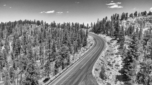 Flysikt Bryce Canyon Road Utah – stockfoto