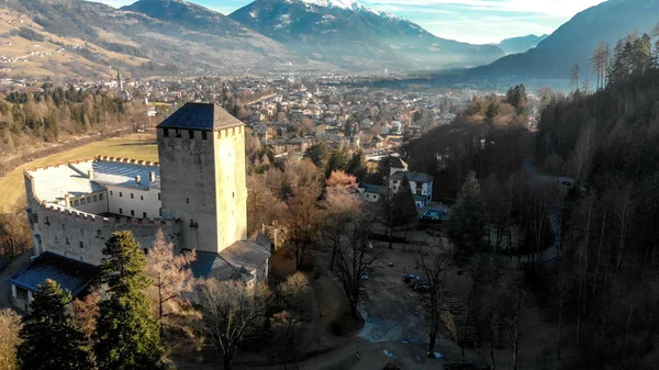 奥地利利恩茨城堡和山谷冬季鸟图 — 图库照片