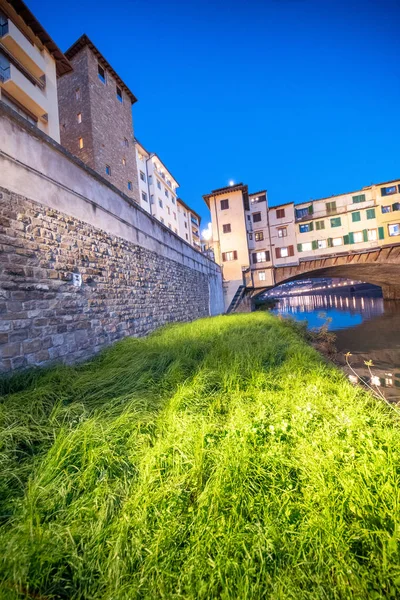 アルノ川とフィレンツェのヴェッキオ橋 前景の草と旧橋 — ストック写真