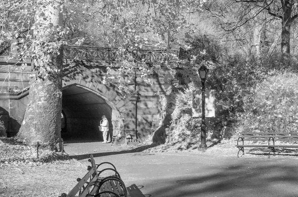 New York City December 2018 Infrared View Beautiful Central Park — Stock Photo, Image