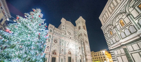 Duomo Firenze Notte Con Albero Natale — Foto Stock