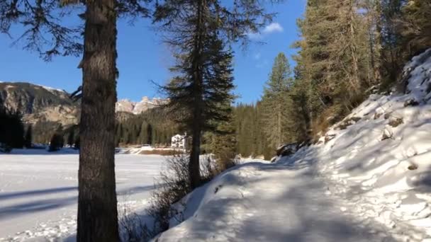 Passeggiate Nei Boschi Lungo Lago Ghiacciato Inverno — Video Stock