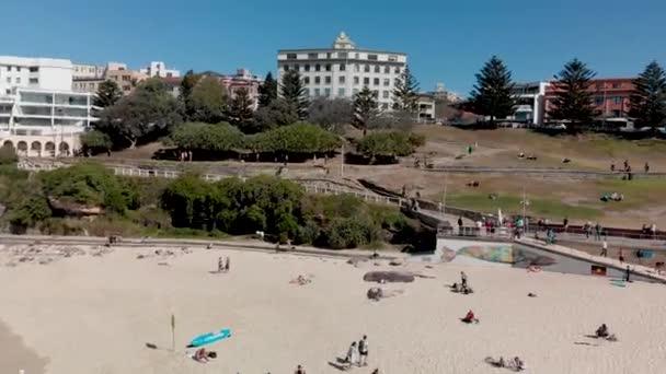 Hava Panoramik Bondi Beach Kıyı Şeridi Sydney Avustralya — Stok video
