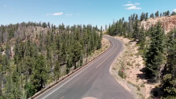 Estrada Outro Lado Parque Nacional Bryce Canyon Utah — Vídeo de Stock