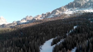 Orman ve göl ile kışın dolomites Alplerdeki havadan görünümü