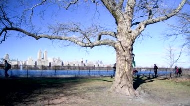 NEW YORK CITY - DECEMBER 7, 2018: People walks in Central Park on a beautiful sunny winter day. The city attracts 50 million toutists annually