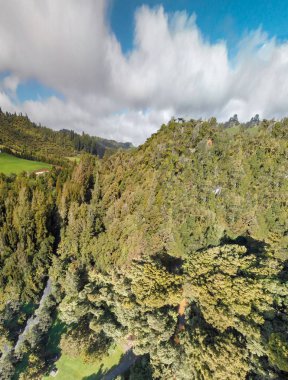 Waitomo kırsal, Yeni Zelanda tepelerde bahar panoramik manzaralı.