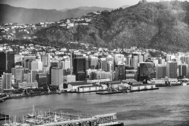 Bir bahar günü, Yeni Zelanda Wellington hava manzarası.