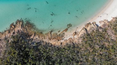 Whitehaven plaj, Avustralya. Hava panoramik kıyı şeridi ve güzel plajları .