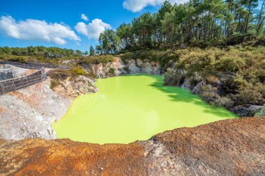 Asit Gölü Wai-O-Tapu Milli Parkı, Yeni Zelanda.