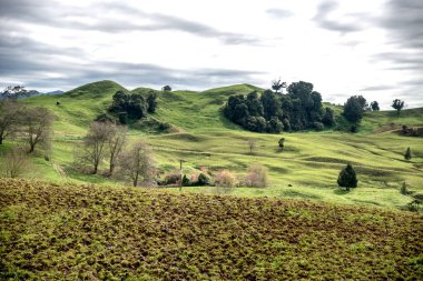 Hills of New Zealand on a cloudy day.