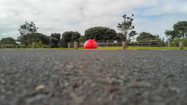 Auckland August 2018 Stadtpark Einem Bewölkten Tag — Stockfoto