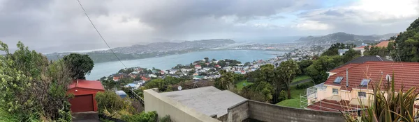 Wellington Panoramatické Letecký Pohled Victoria Nový Zéland Zamračený Den — Stock fotografie