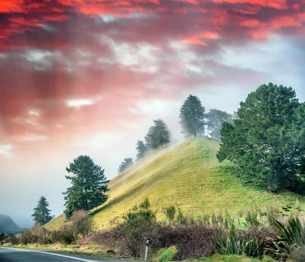 Heuvels Van Nieuw Zeeland Gehuld Door Mist Winter Concept — Stockfoto