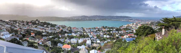 Панорамный Вид Веллингтона Горы Виктория Новая Зеландия Пасмурный День — стоковое фото