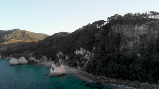 Panoramic Aerial View Cathedral Cove Coast Coromandel New Zealand — Stock Video