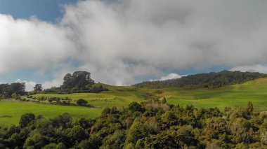 Waitomo kırsal, Yeni Zelanda tepelerde bahar panoramik manzaralı.