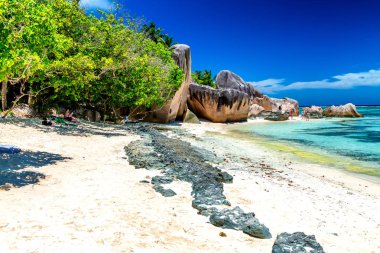Seyşel Adaları güzel Plajı ile ağaçlar ve bitki örtüsü.