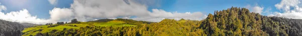 Waitomo countryside, panoramic view of New Zealand hills in spring.