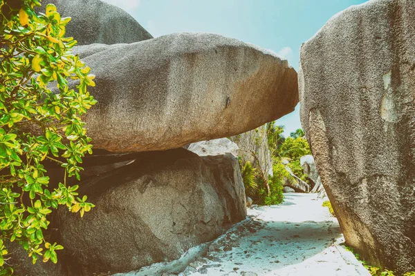 Polierte Felsen Der Schönen Insel Seychellen — Stockfoto