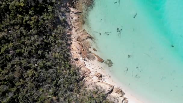 Whitehaven Beach Australien Panoramische Luftaufnahme Der Küste Und Der Schönen — Stockvideo