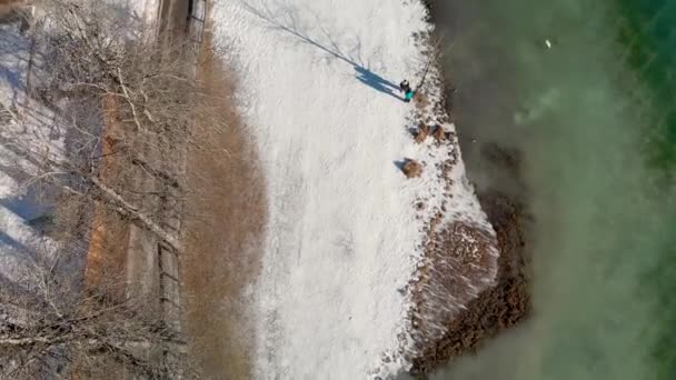 Lago Alberi Inverno Con Neve Aerea Vista Dall Alto — Video Stock