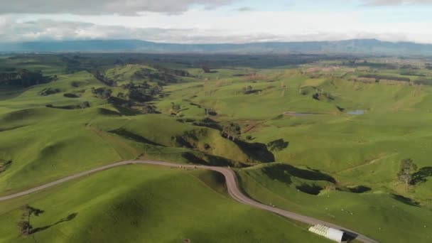 Colline Campagna Matamata Nuova Zelanda Vista Aerea Una Giornata Invernale — Video Stock