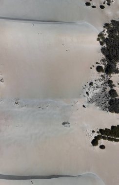 Çöl ve bitki örtüsü üzerinde güzel bir güneşli da havadan görünümü.