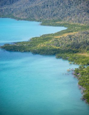 Orman, havadan görünümü güzel sahil şeridine Queensland.
