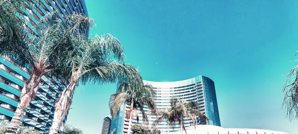 San Diego Marina Gebouwen Skyline Een Mooie Zomer Zonnige Dag — Stockfoto