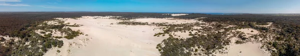 Vista Aérea Deserto Vegetação Uma Bela Ensolarada — Fotografia de Stock