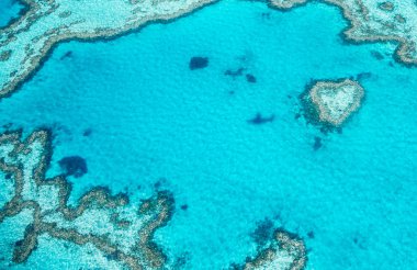Queensland coral reef as seen from the airplane, aerial view on a sunny day with Heart Reef clipart