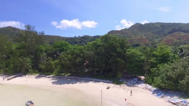 Schilderachtige Beelden Van Mensen Die Tijd Doorbrengen Het Zandstrand — Stockvideo