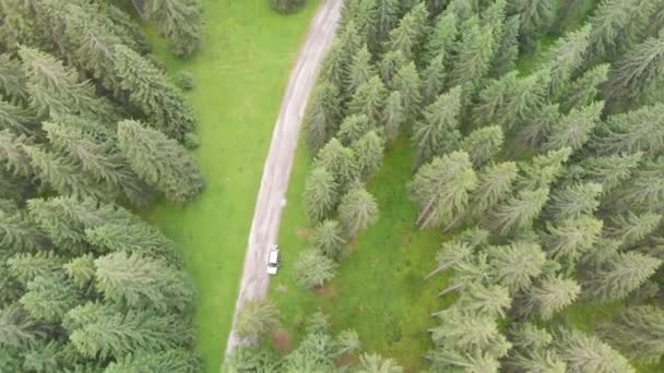 Séquences Aériennes Ruisseau Kerosene Forêt Environnante Nouvelle Zélande — Video
