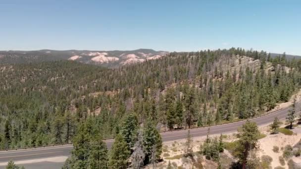 Imagens Cênicas Arches Road Forest — Vídeo de Stock