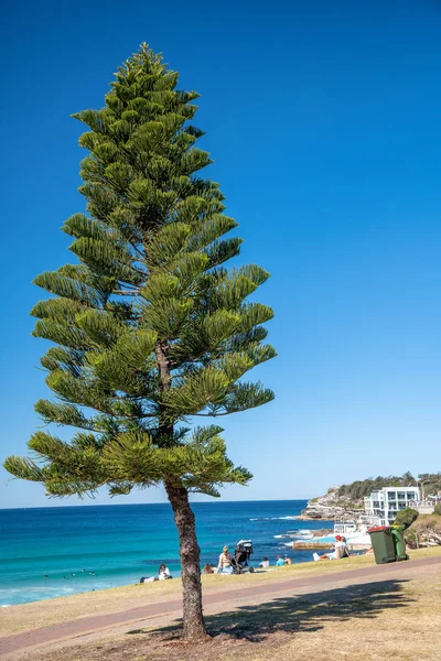 Bondi Beach Australie Août 2018 Les Gens Détendent Sur Plage — Photo