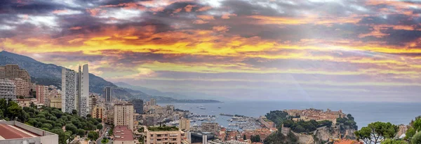 Montecarlo Franciaország Légi Városra Egzotikus Kertek Naplemente Monaco — Stock Fotó