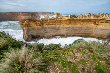 Oniki Havariler, bağlantı noktası Campbell, Austral yakınındaki Razorback bakış açısı