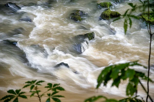 Flowing river surrounded by vegetation. Long Exposure with blurr — Stock Photo, Image