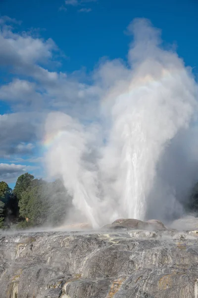 Uitbarstende geiser van de Pohutu in Te Puia Nationaal Park, Rotorua, nieuw Ze — Stockfoto